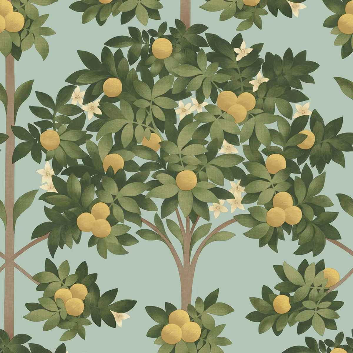 Cole &amp; Son &#39;Orange Blossom - Lemon &amp; Dark Olive Green on Duck Egg&#39; Wallpaper