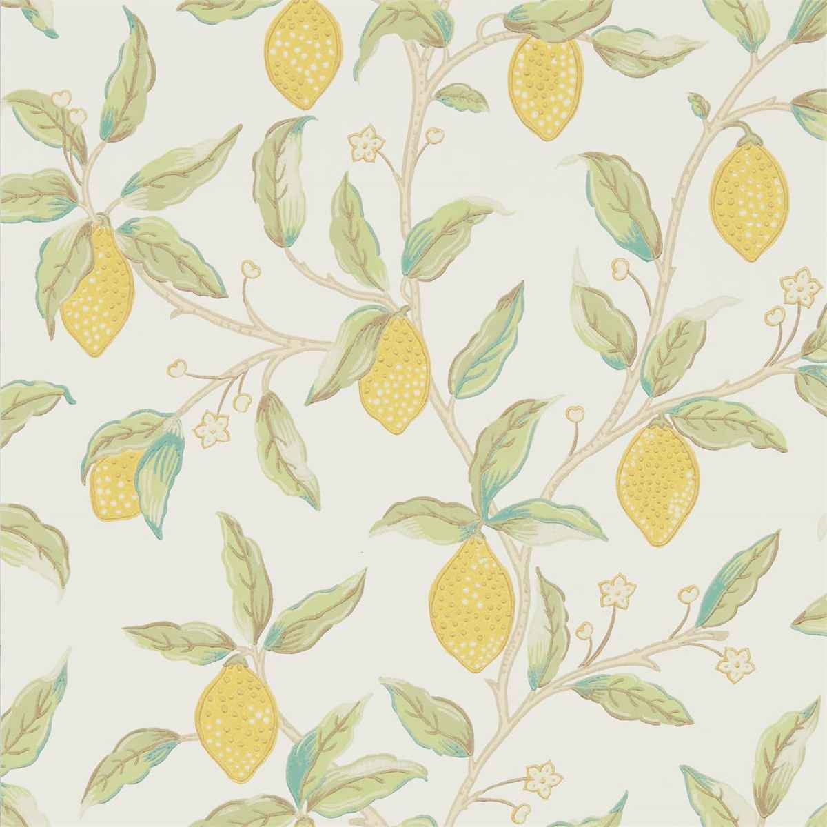Morris &amp; Co &#39;Lemon Tree - Bay Leaf&#39; Wallpaper