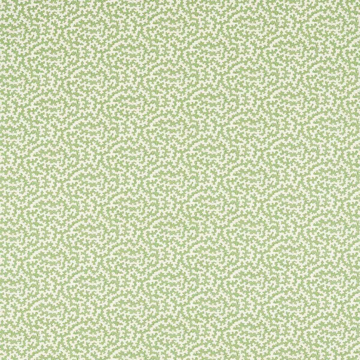 Sanderson &#39;Truffle - Sap Green&#39; Fabric