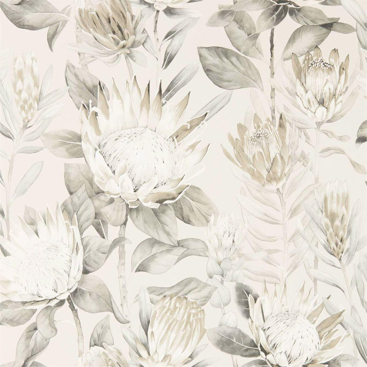 Sanderson &#39;King Protea - Linen/Mica&#39; Wallpaper