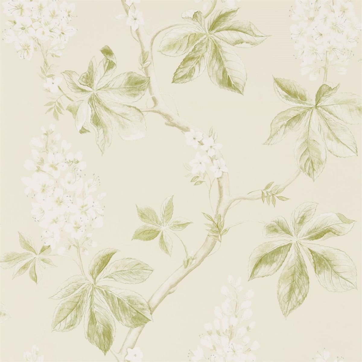 Sanderson &#39;Chestnut Tree - Lemon/Lettuce&#39; Wallpaper