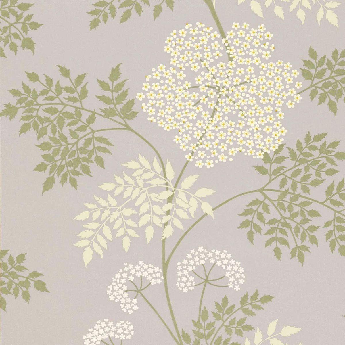 Sanderson &#39;Cowparsley - Amethyst&#39; Wallpaper