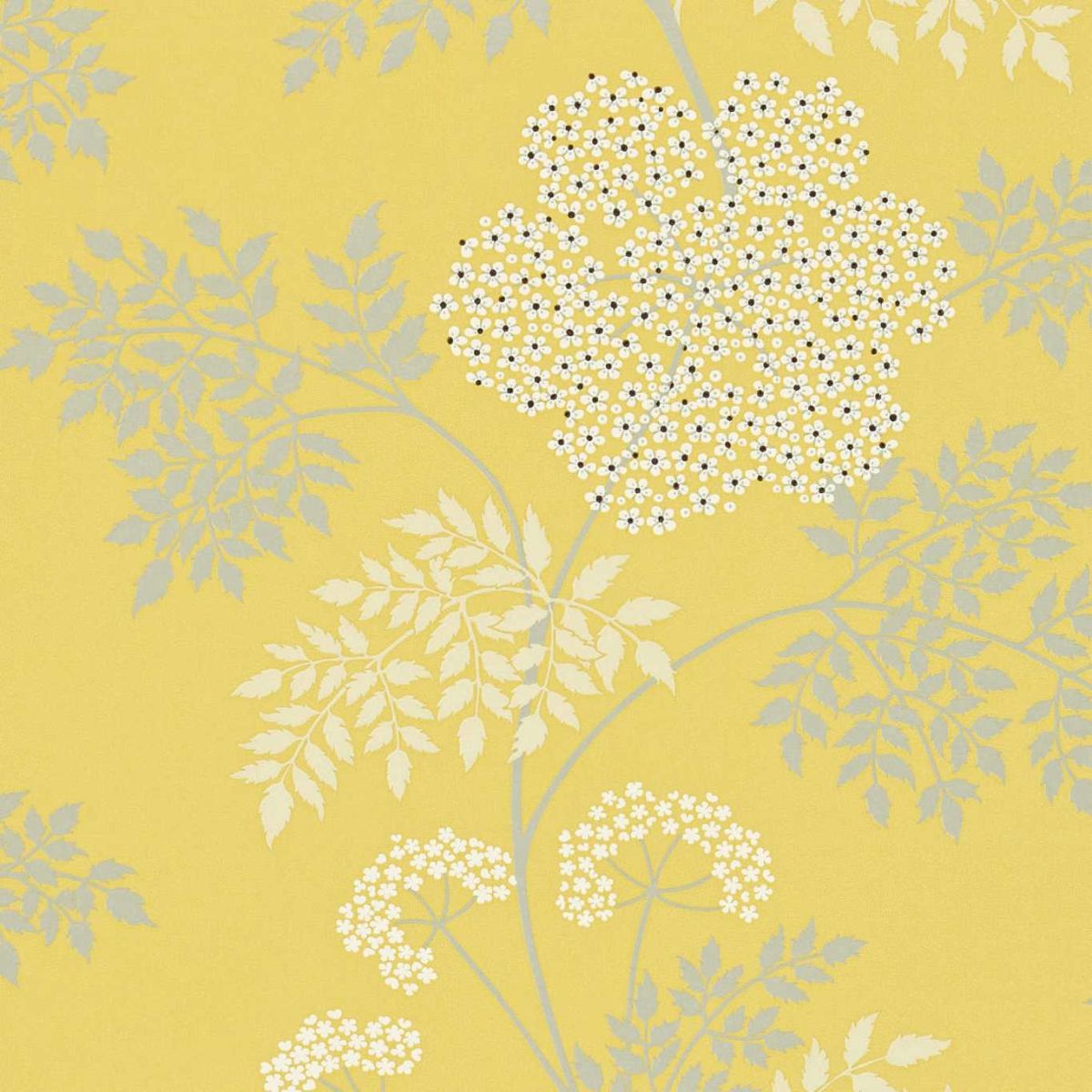 Sanderson &#39;Cowparsley - Chinese Yellow&#39; Wallpaper