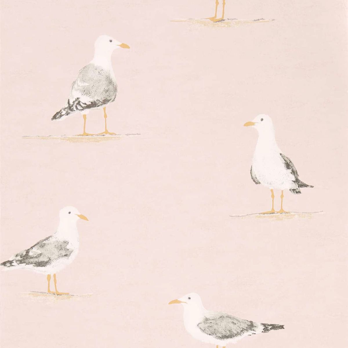Sanderson &#39;Shore Birds - Blush&#39; Wallpaper