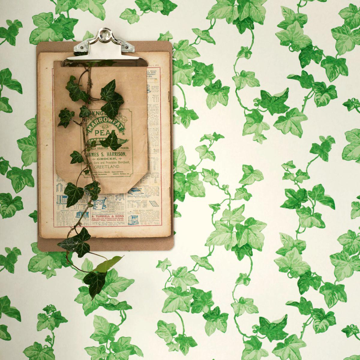 Sanderson &#39;Hedera - Green&#39; Wallpaper