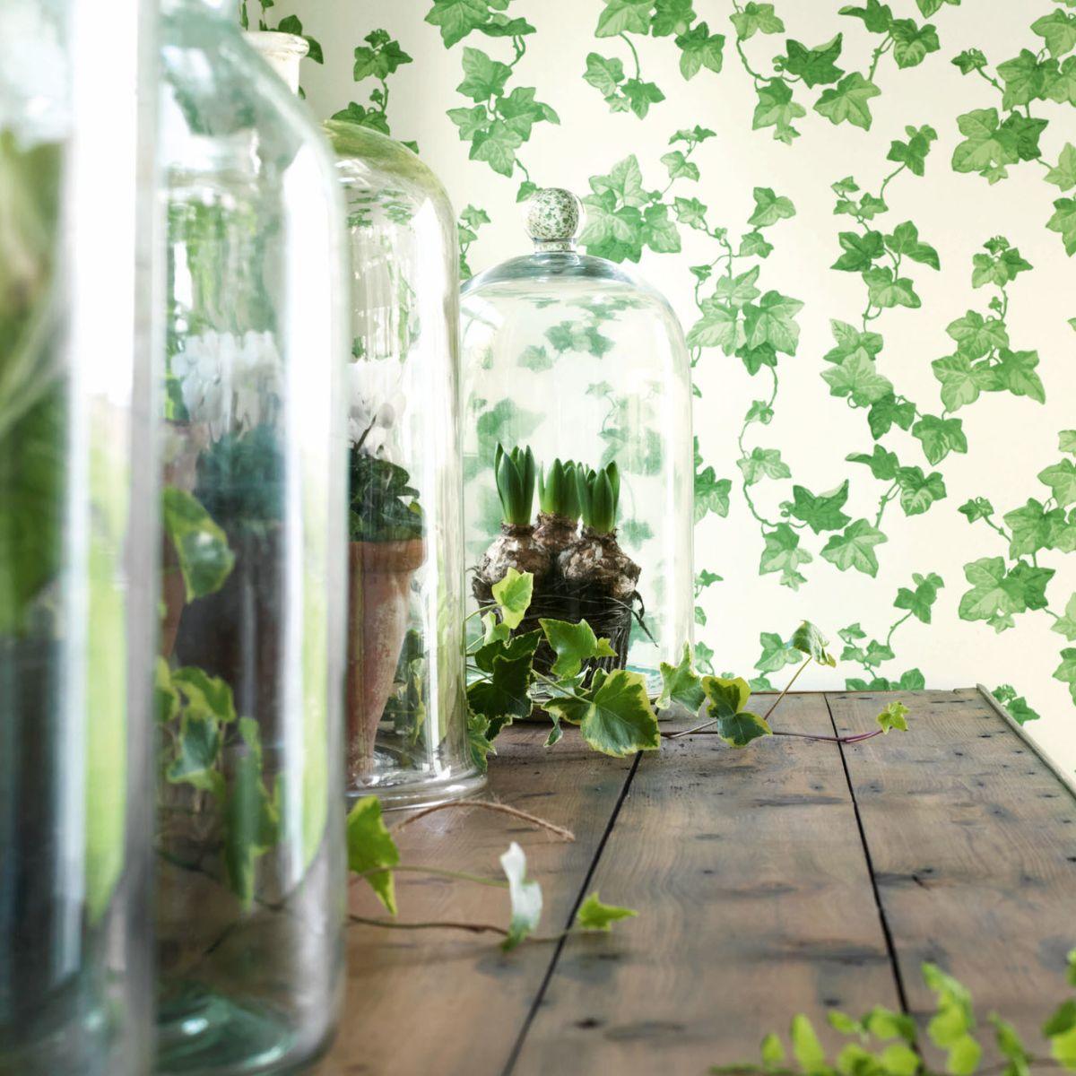 Sanderson &#39;Hedera - Green&#39; Wallpaper