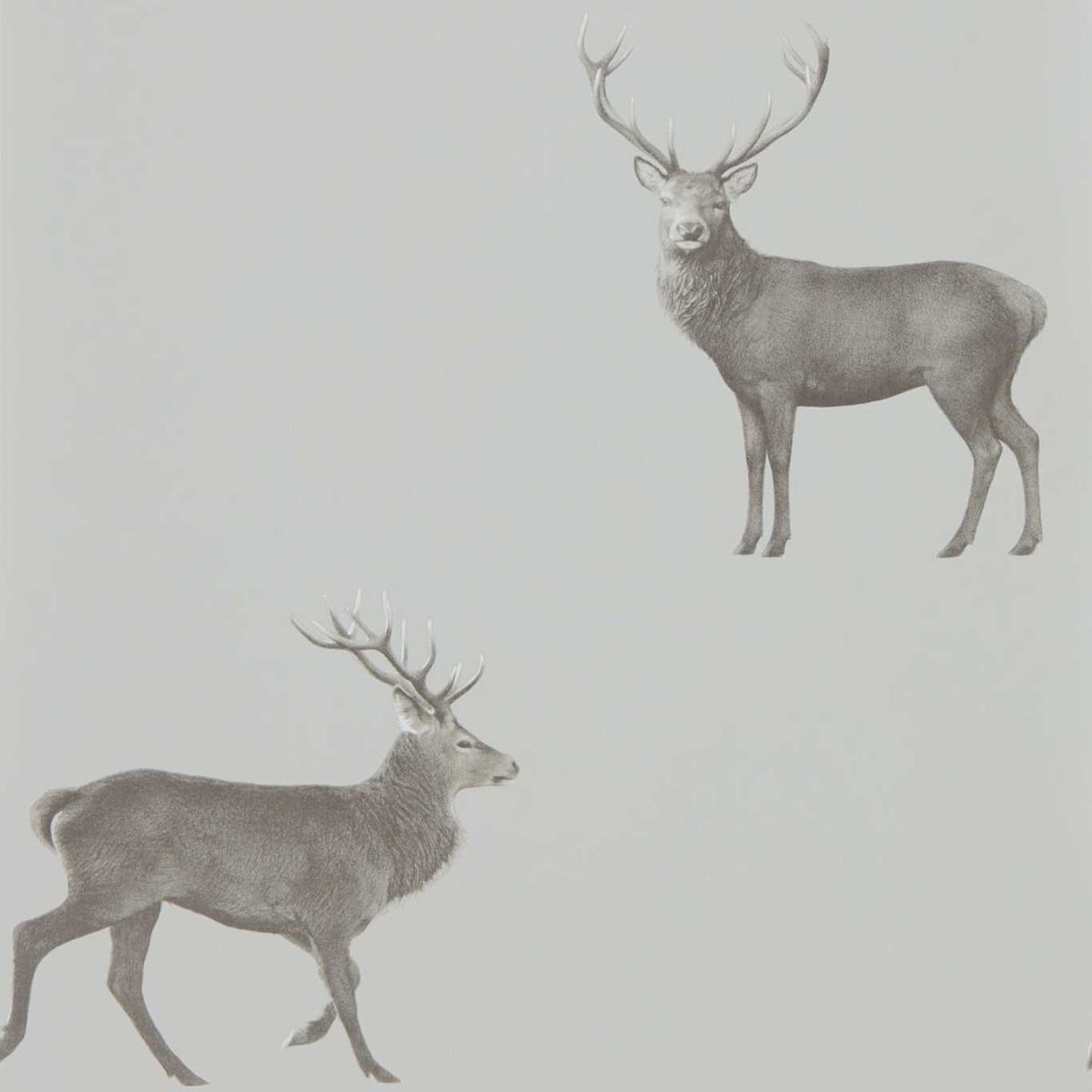 Sanderson &#39;Evesham Deer - Silver Grey&#39; Wallpaper