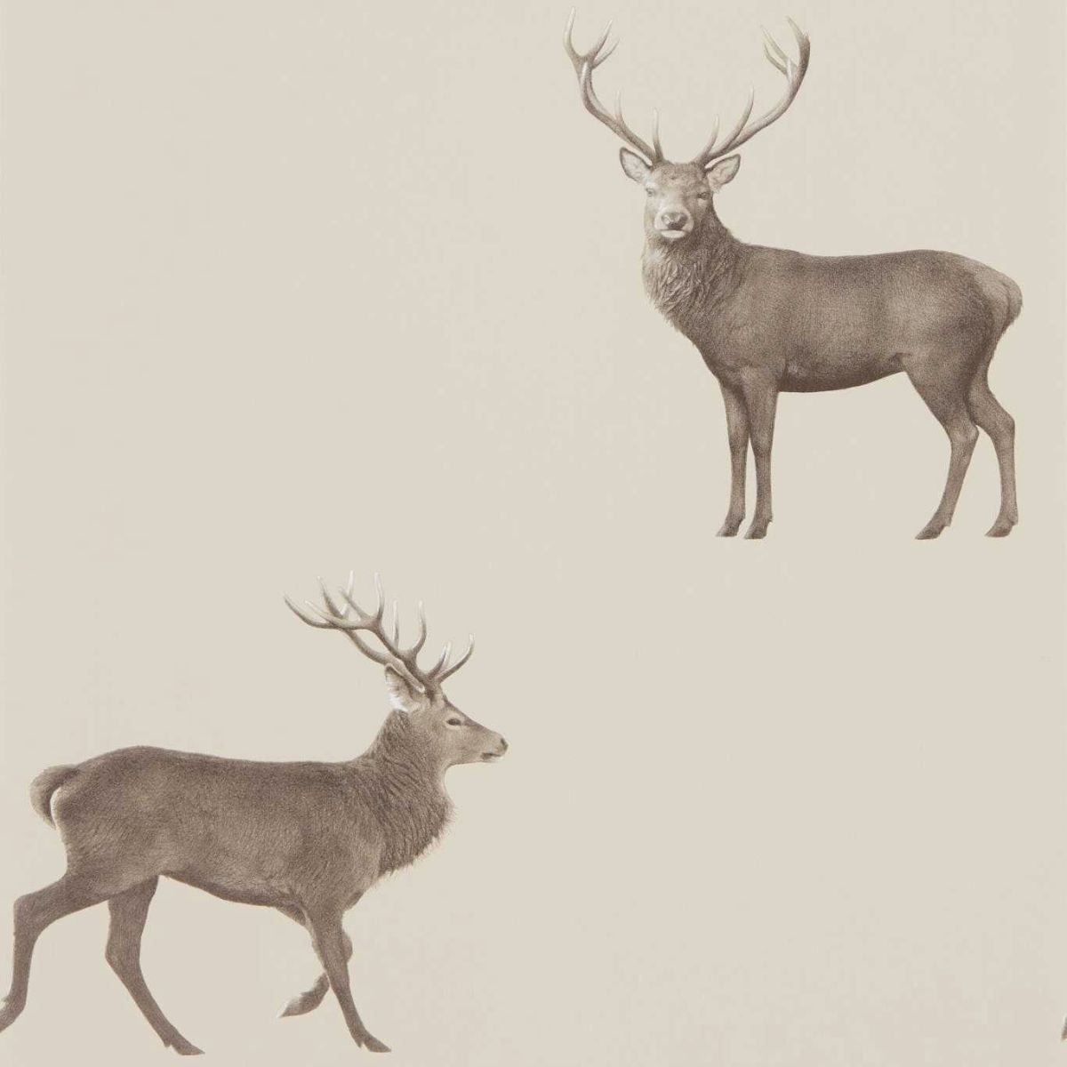Sanderson &#39;Evesham Deer - Birch&#39; Wallpaper