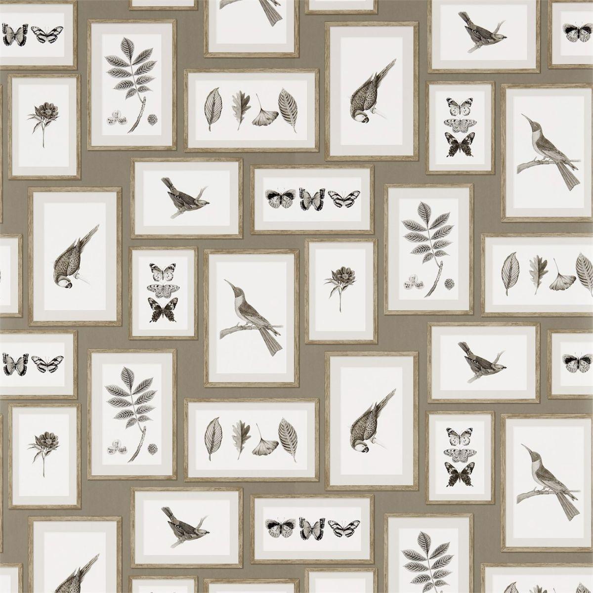 Sanderson &#39;Picture Gallery - Taupe/Sepia&#39; Wallpaper