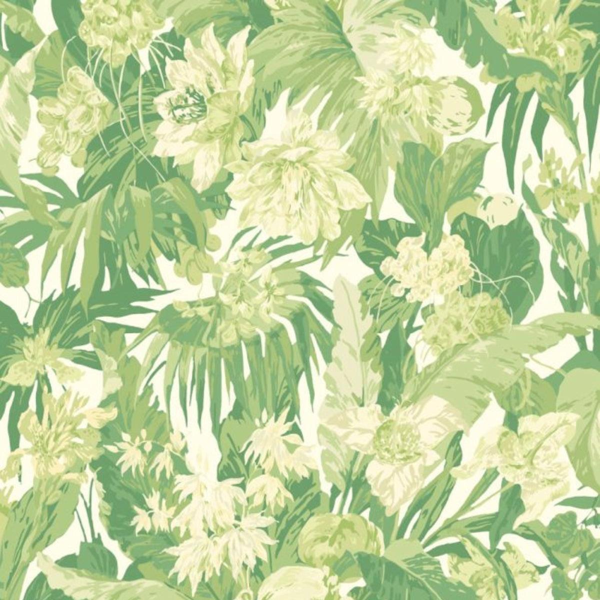 GP&amp;J Baker Tropical Floral - Wallpaper