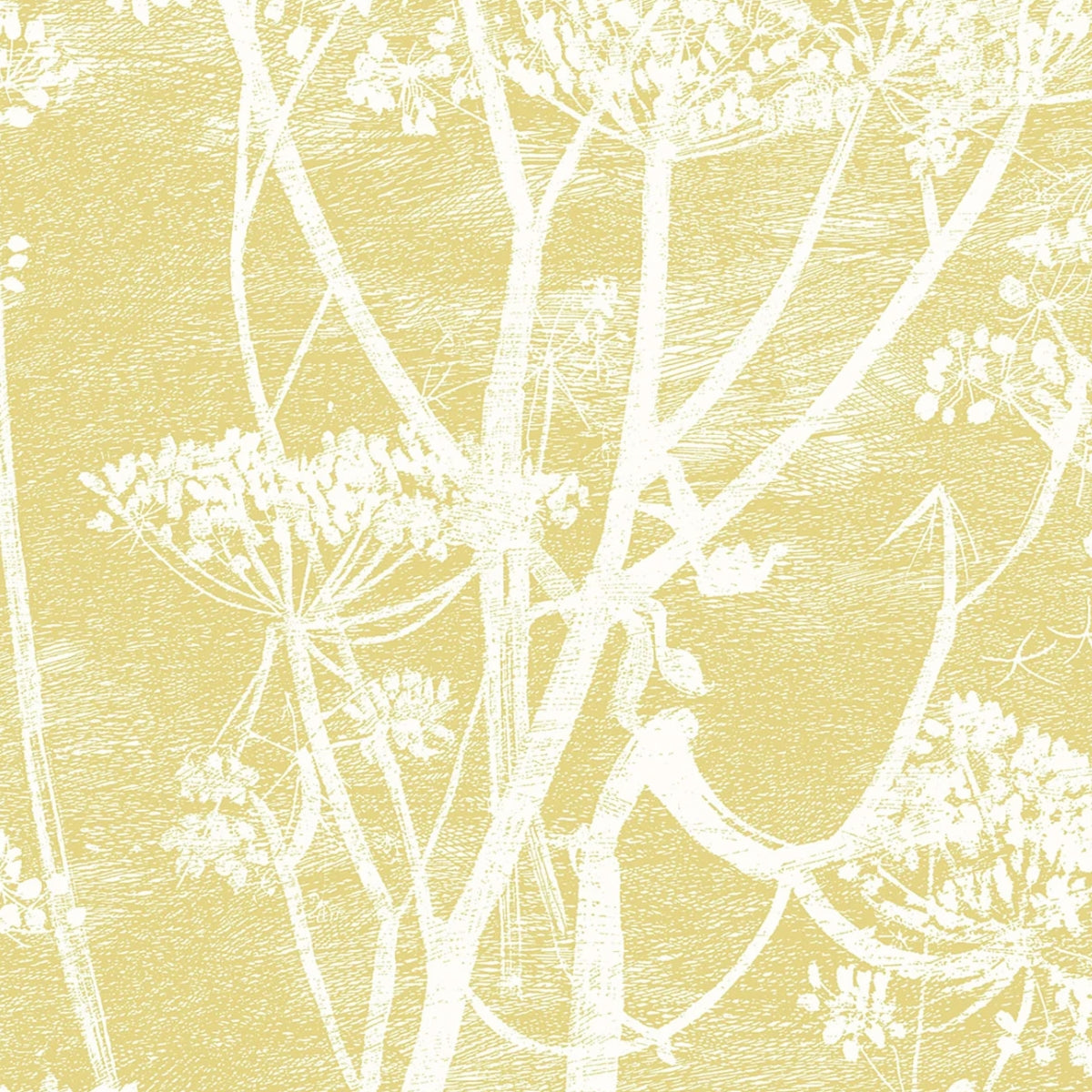 Cole &amp; Son &#39;Cow Parsley Linen - White &amp; Chartreuse&#39; Fabric