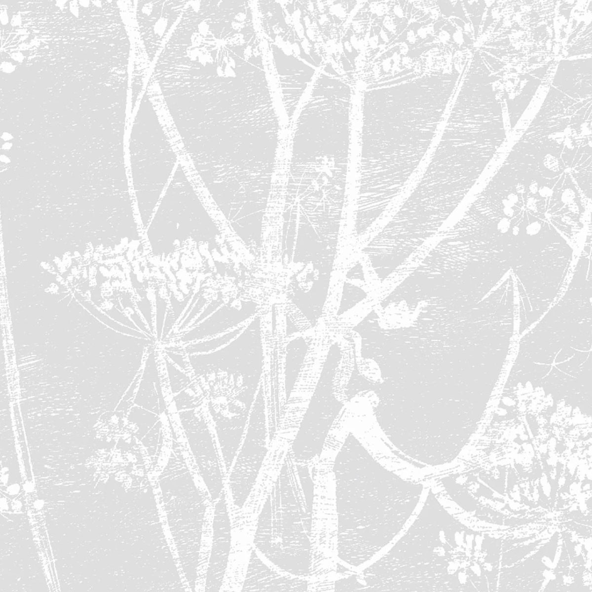 Cole &amp; Son &#39;Cow Parsley Linen - Soft Grey&#39; Fabric