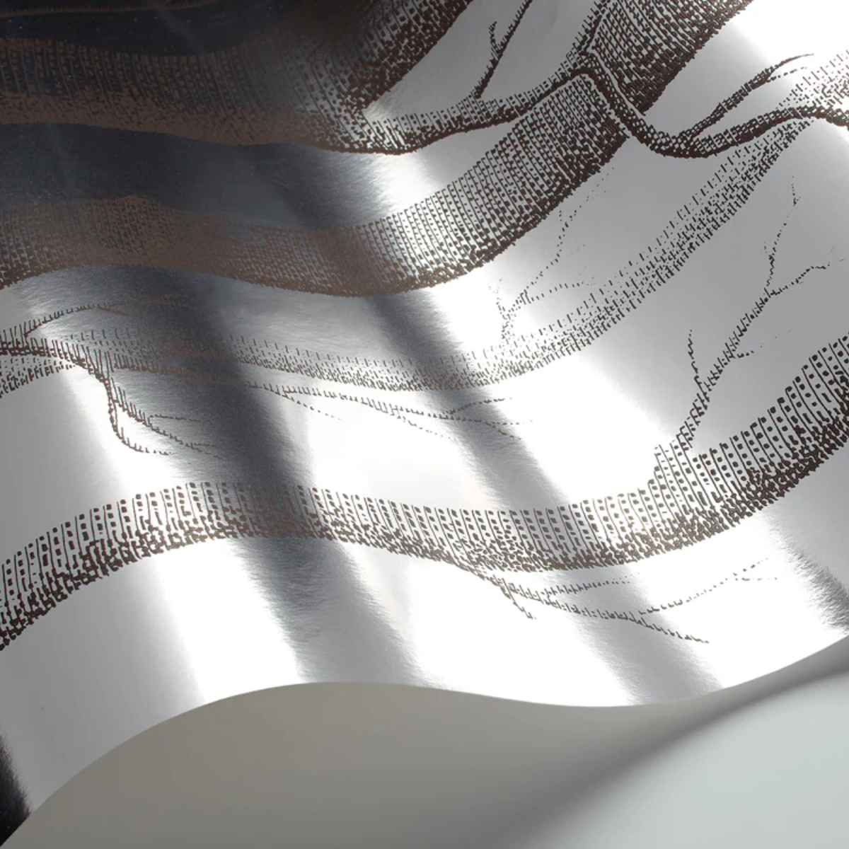 Cole &amp; Son &#39;Woods - Soot on Foil&#39; Wallpaper