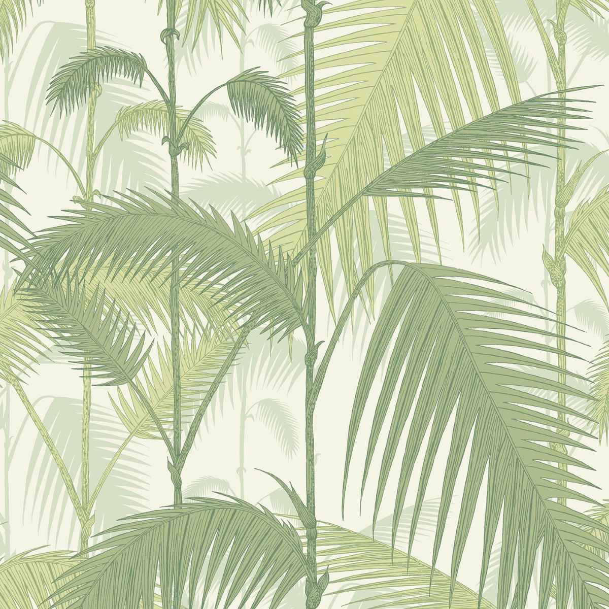 Cole and Son &#39;Palm Jungle - Olive Green on White&#39; Wallpaper
