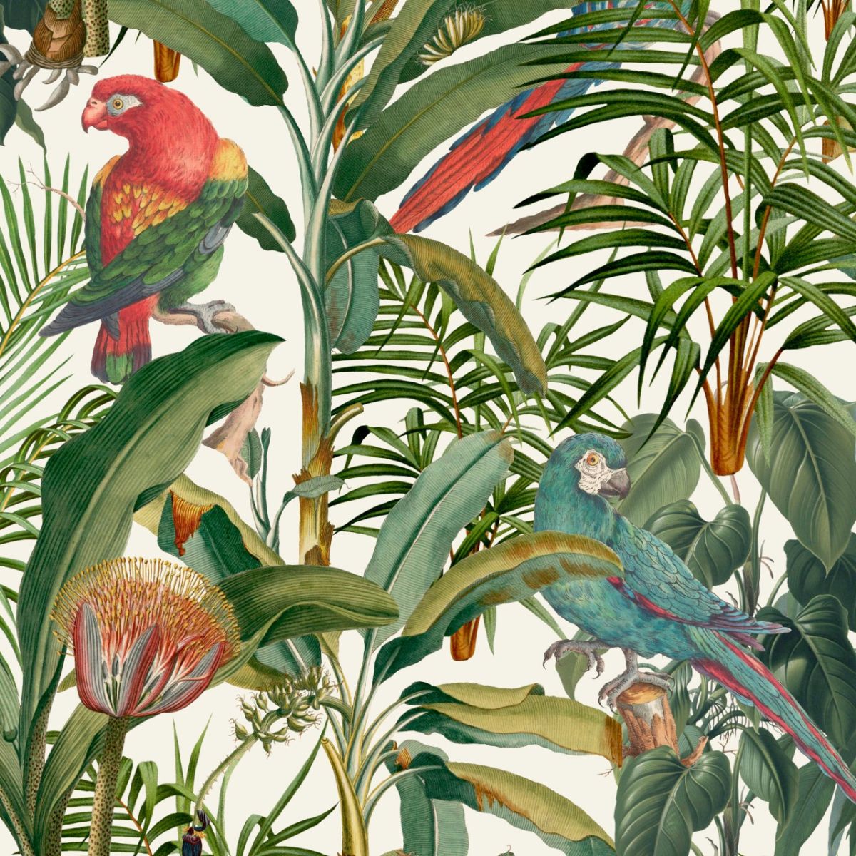 Mind The Gap &#39;Parrots of Brasil&#39; Wallpaper