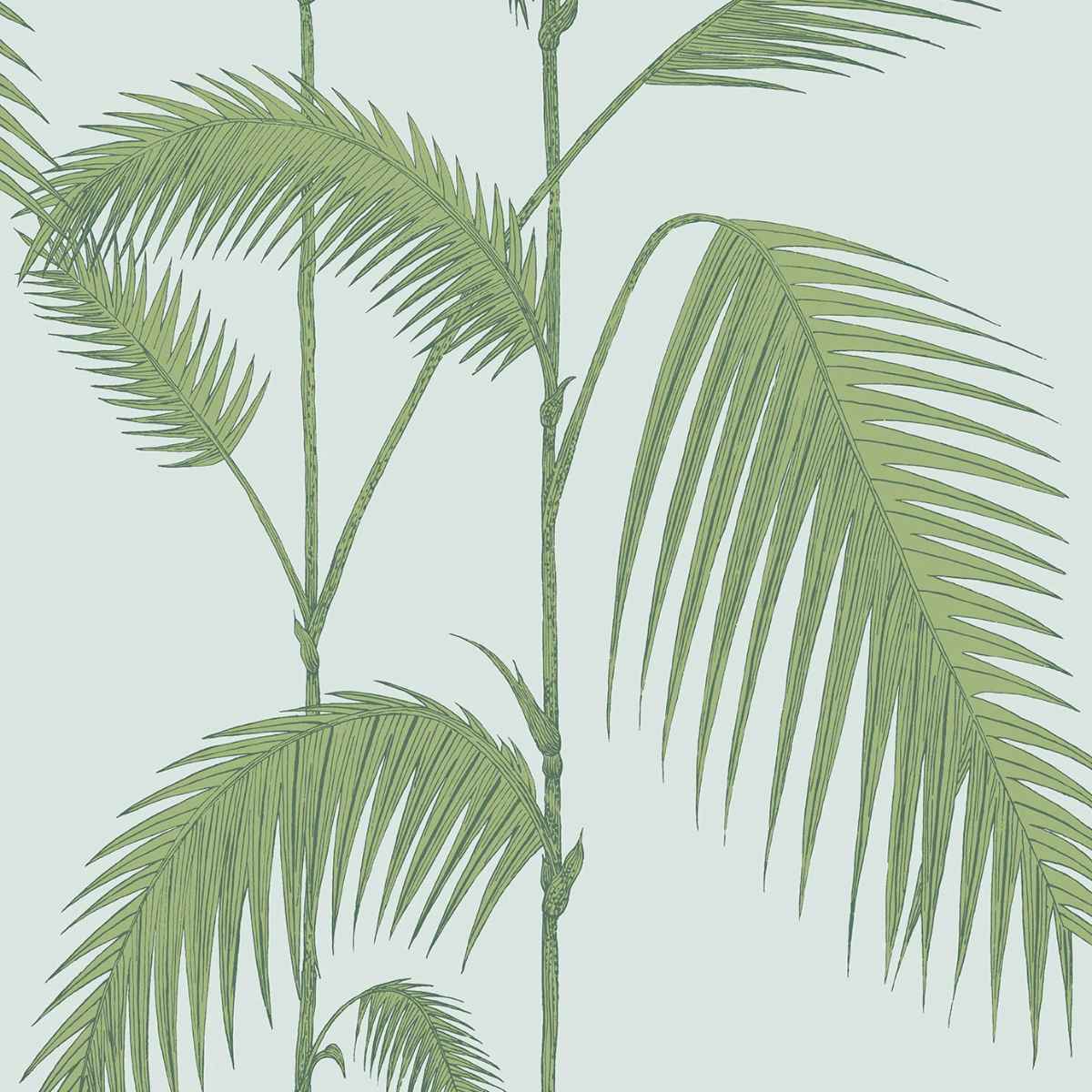 Cole &amp; Son &#39;Palm Leaves - Leaf Green on Sea Foam&#39; Wallpaper