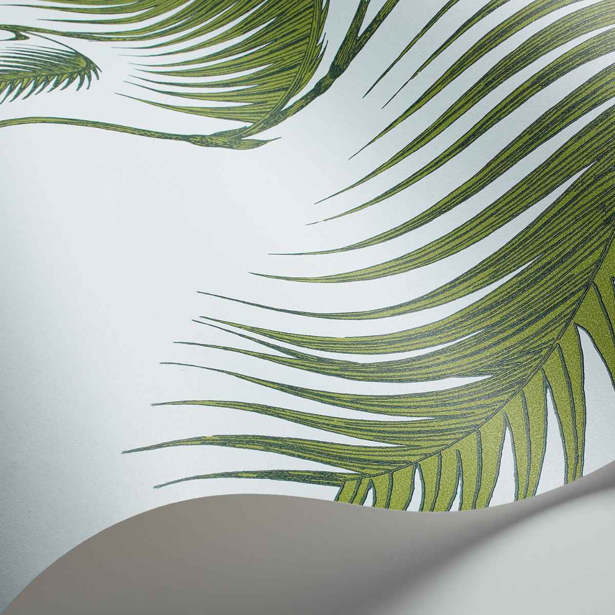 Cole &amp; Son &#39;Palm Leaves - Leaf Green on Sea Foam&#39; Wallpaper