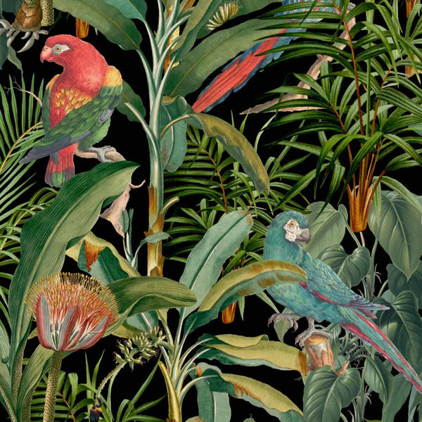 Mind The Gap &#39;Parrots of Brasil&#39; Wallpaper