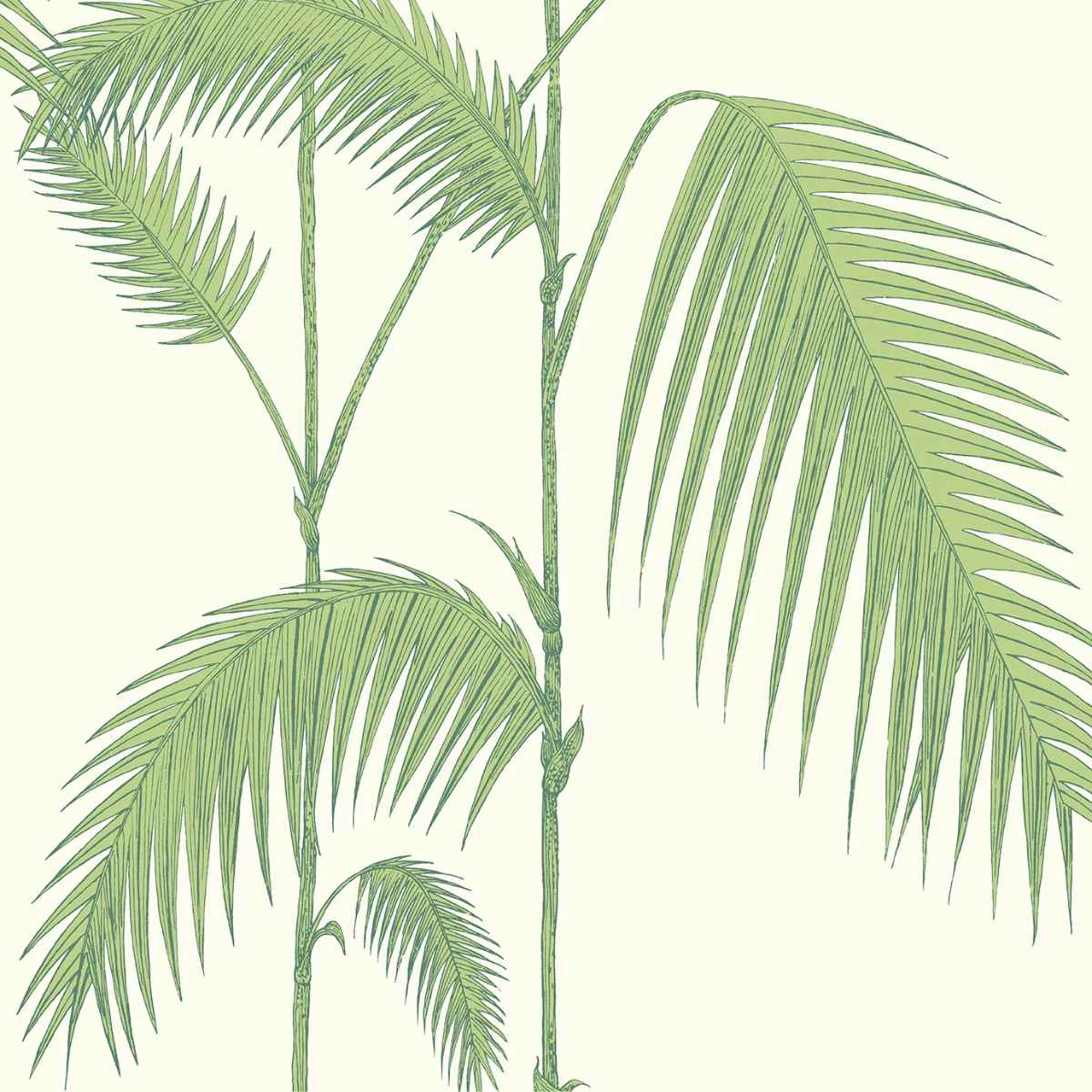 Cole &amp; Son &#39;Palm Leaves - Olive Green on White&#39; Wallpaper