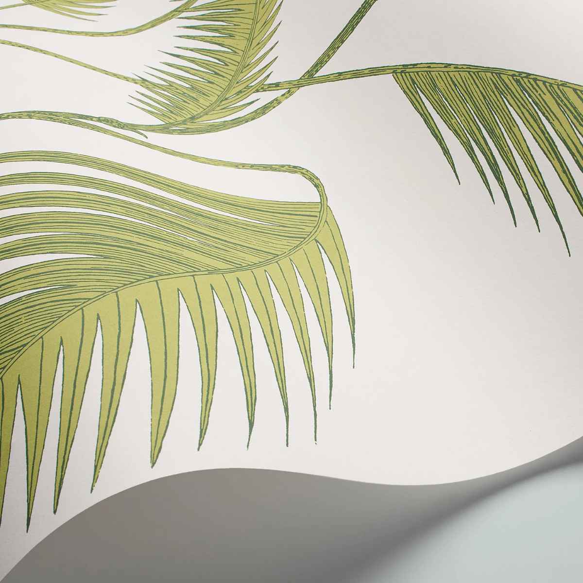 Cole &amp; Son &#39;Palm Leaves - Olive Green on White&#39; Wallpaper