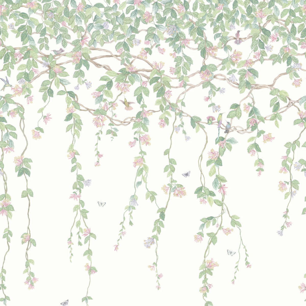 Cole &amp; Son &#39; Hummingbirds Flora - Blush, Sage &amp; Mulberry on Cream&#39; Wallpaper