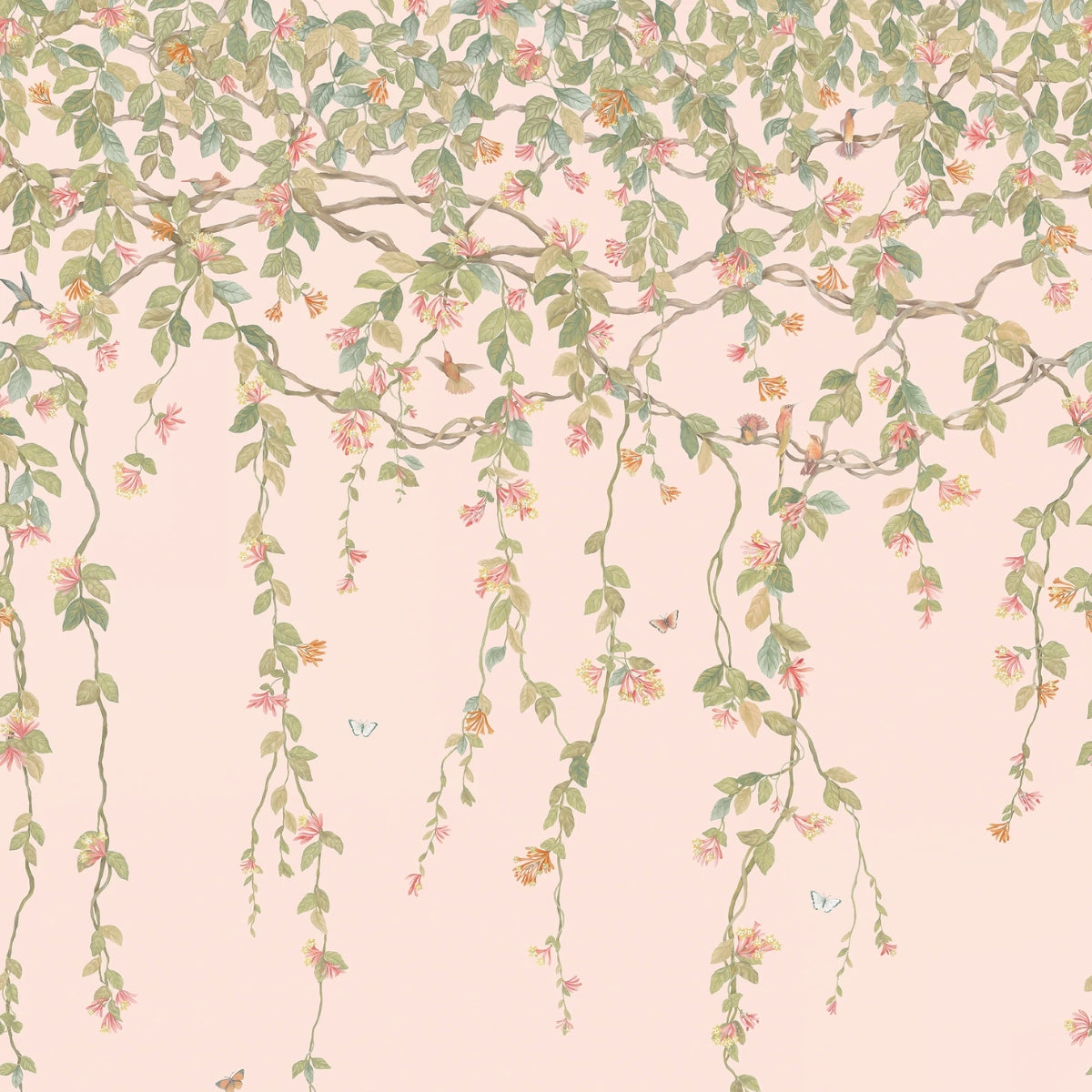 Cole &amp; Son &#39; Hummingbirds Flora - Tangerine &amp; Olive on Blush&#39; Wallpaper