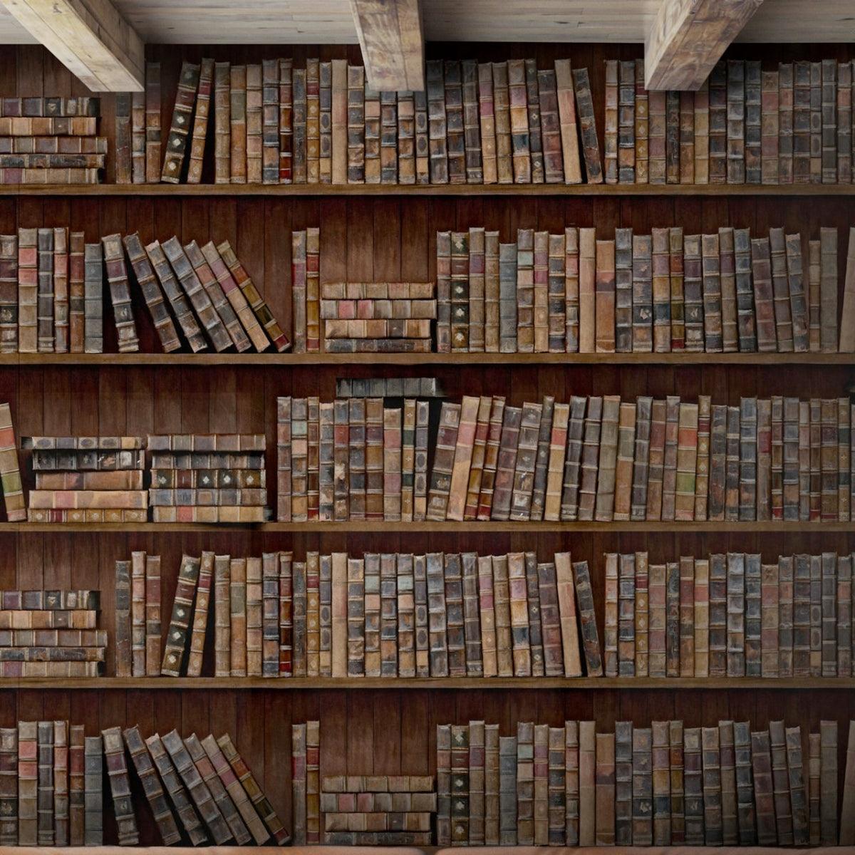 Mind The Gap &#39;Book Shelves&#39; Wallpaper