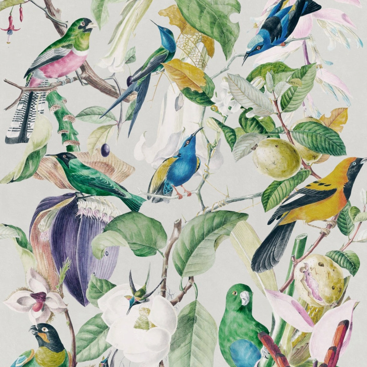 Mind The Gap - Tropical Birds Wallpaper