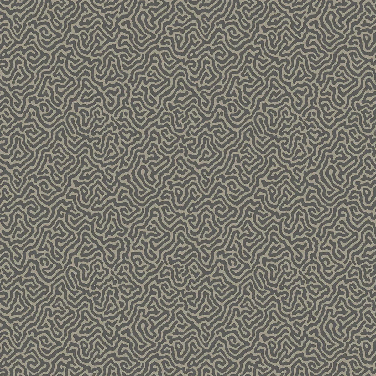 Vermicelli Wallpaper - Cole & Son