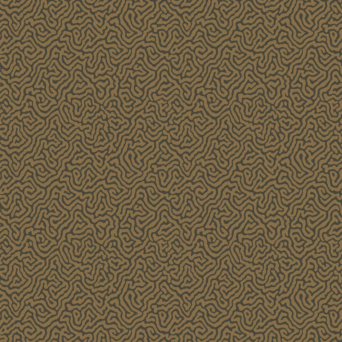 Vermicelli Wallpaper - Cole & Son
