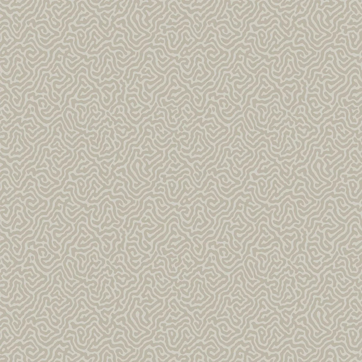 Vermicelli Wallpaper - Cole & Son