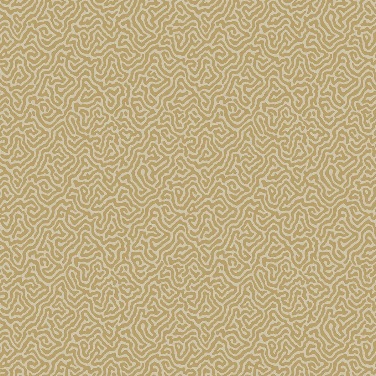 Vermicelli Wallpaper - Cole & Son