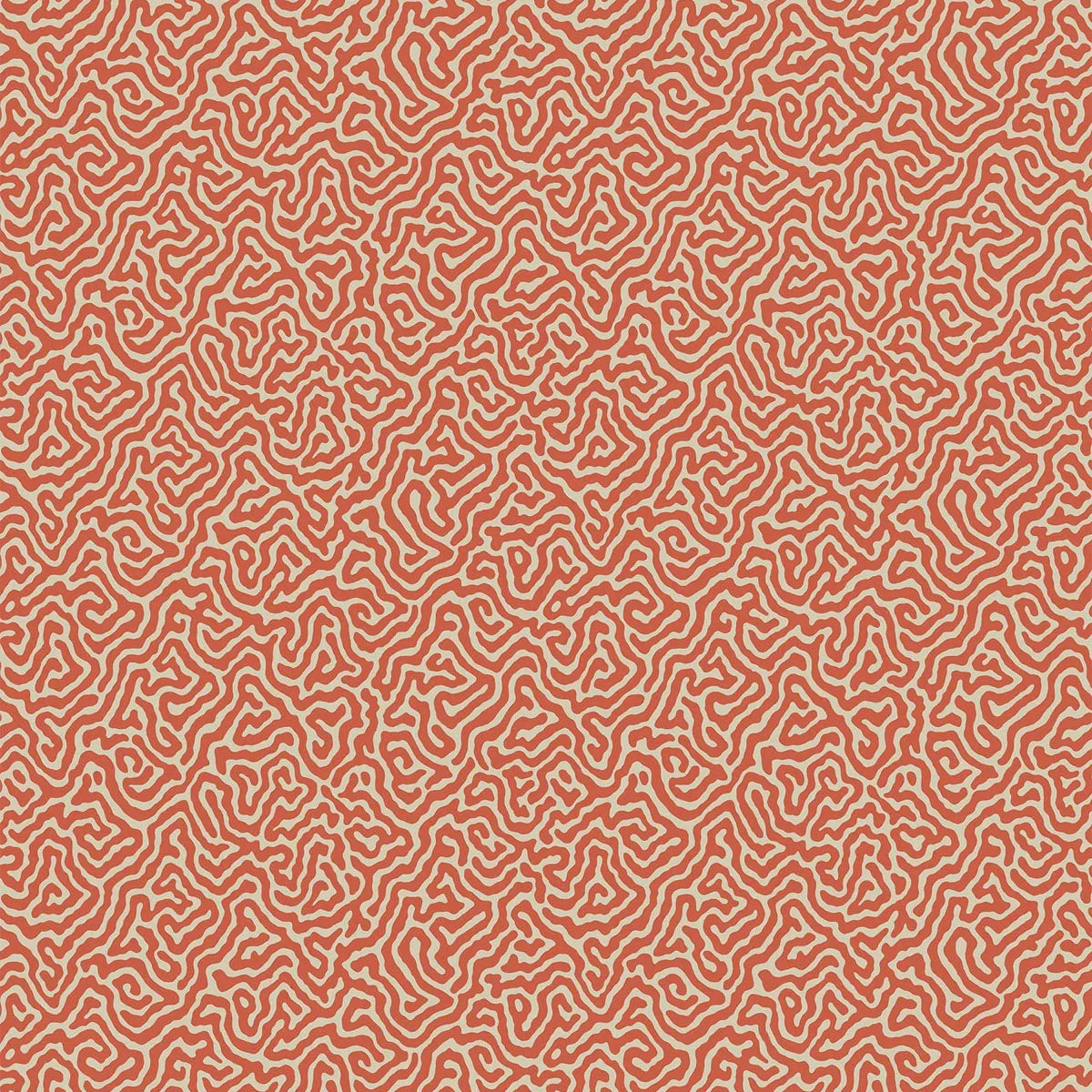 Vermicelli Wallpaper - Cole & Son