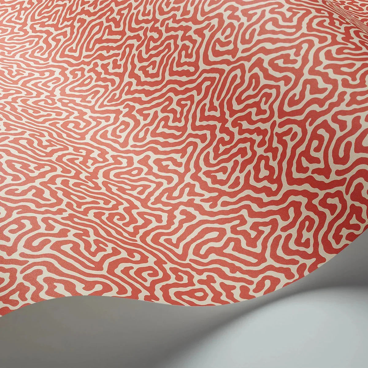 Vermicelli Wallpaper - Cole & Son