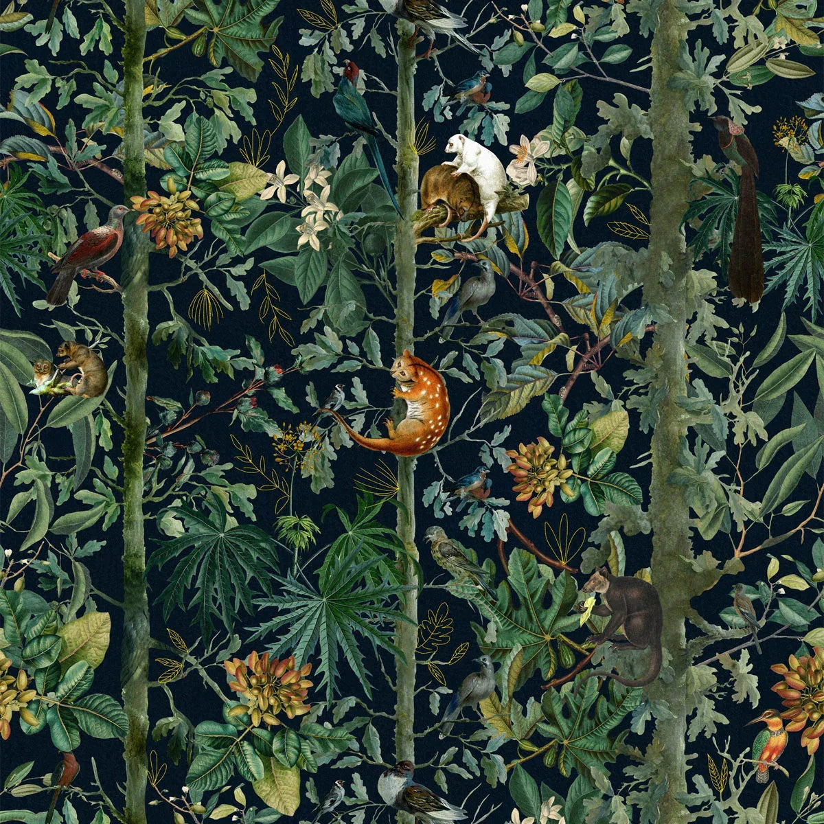 Wildlife of Papua Wallpaper - Mind The Gap