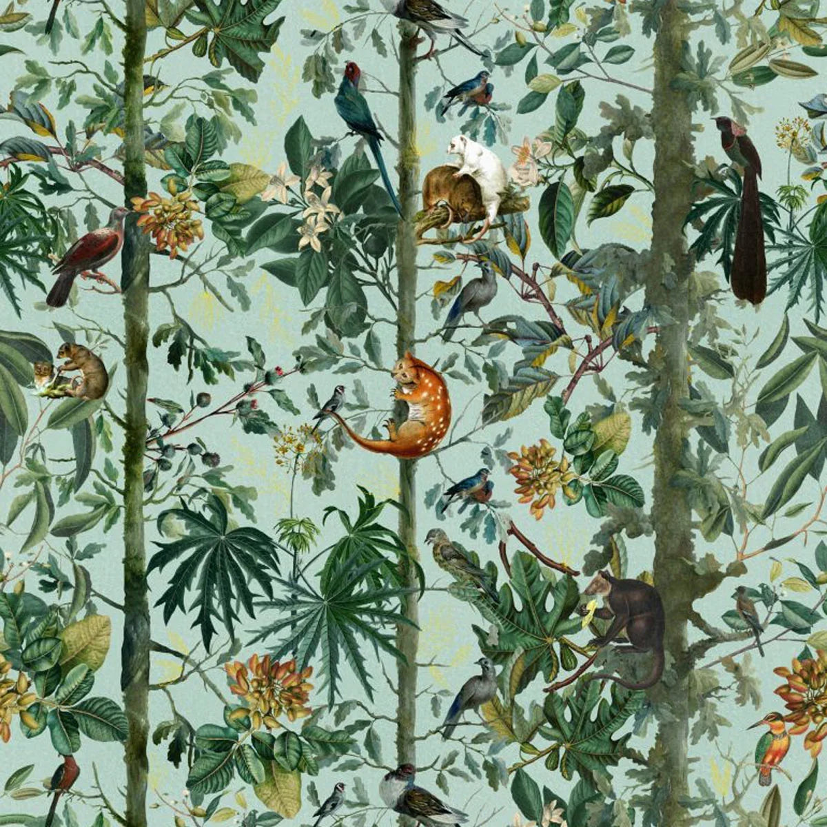 Wildlife of Papua Wallpaper - Mind The Gap