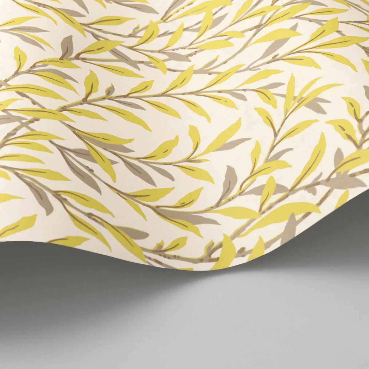 Willow Branch Wallpaper - Cole & Son