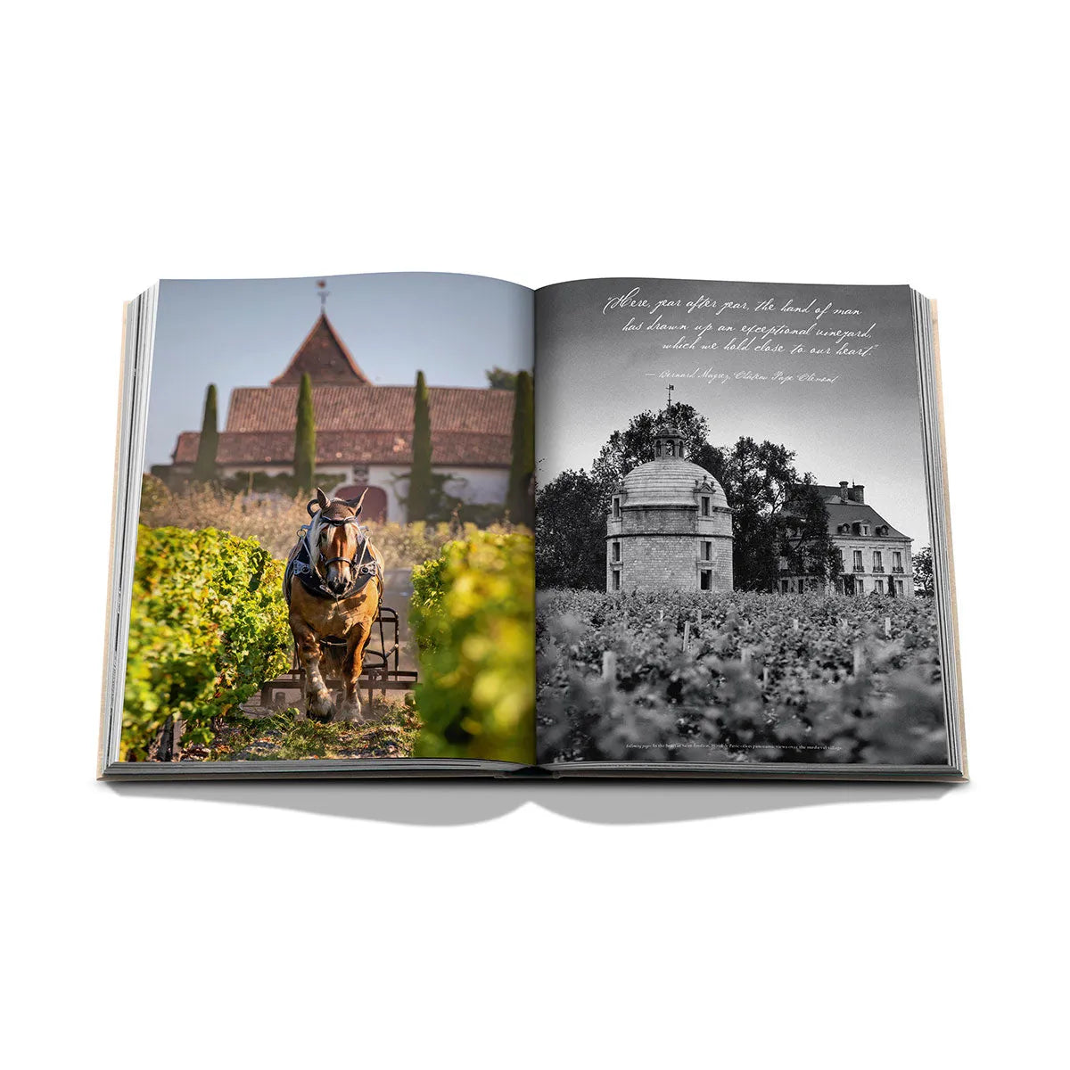 Wine &amp; Travel France - Assouline