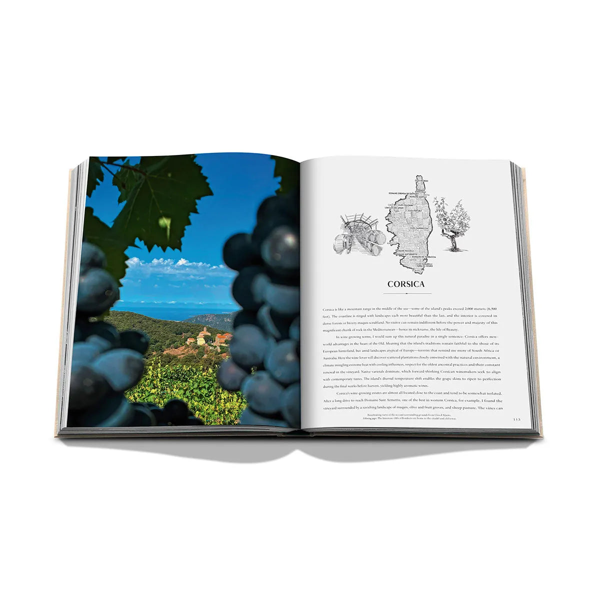 Wine &amp; Travel France - Assouline