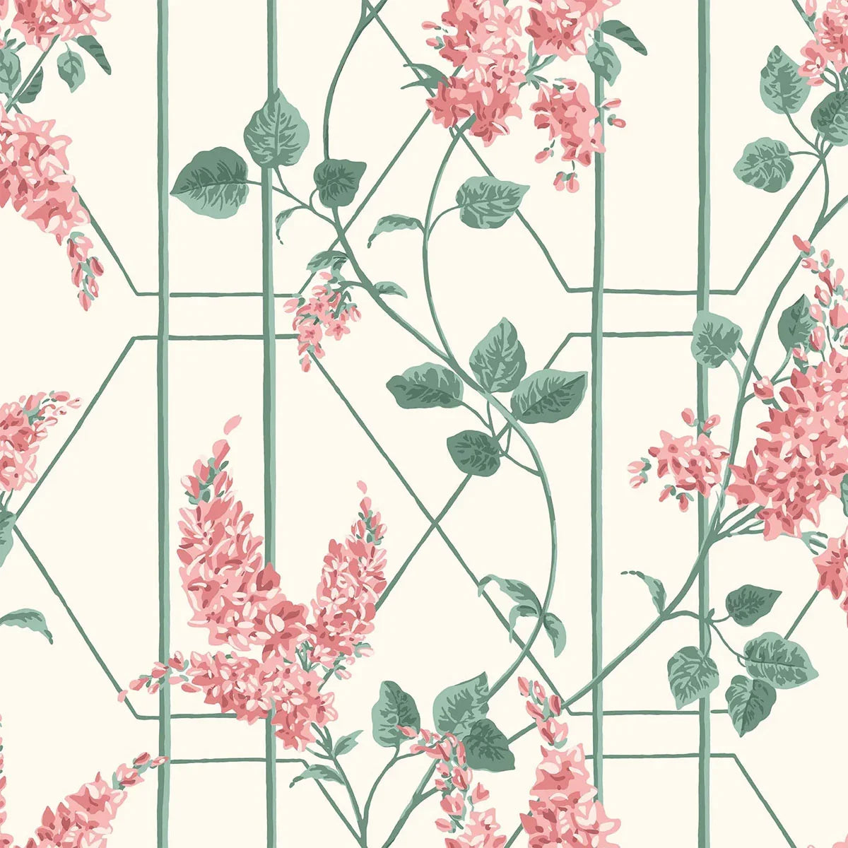 Wisteria Wallpaper - Cole & Son