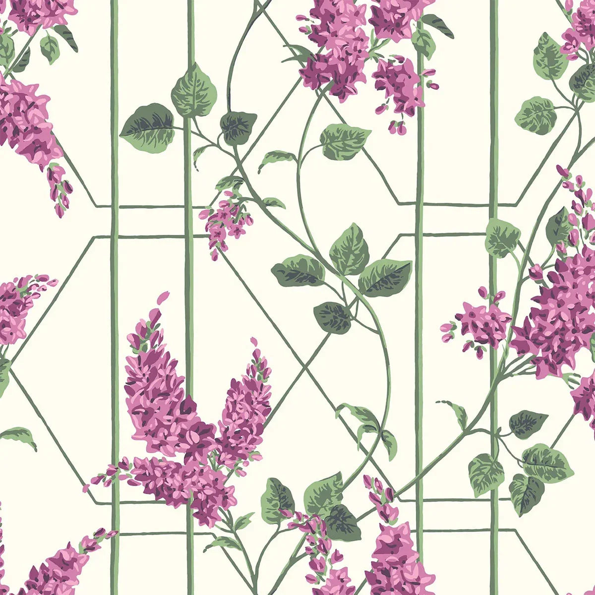 Wisteria Wallpaper - Cole & Son