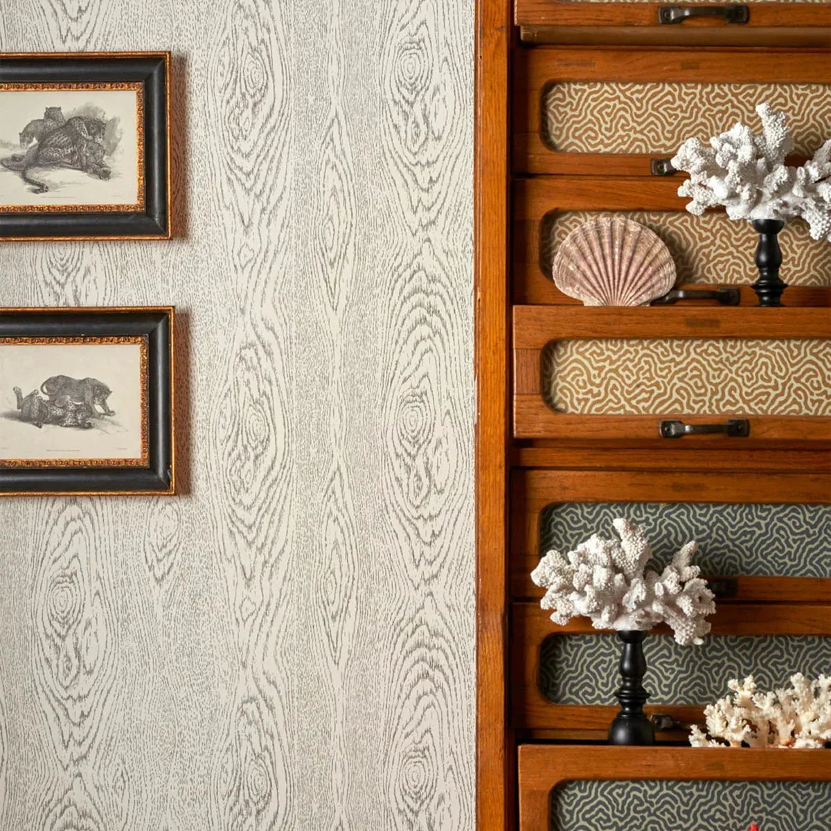 Wood Grain Curio Wallpaper - Cole & Son