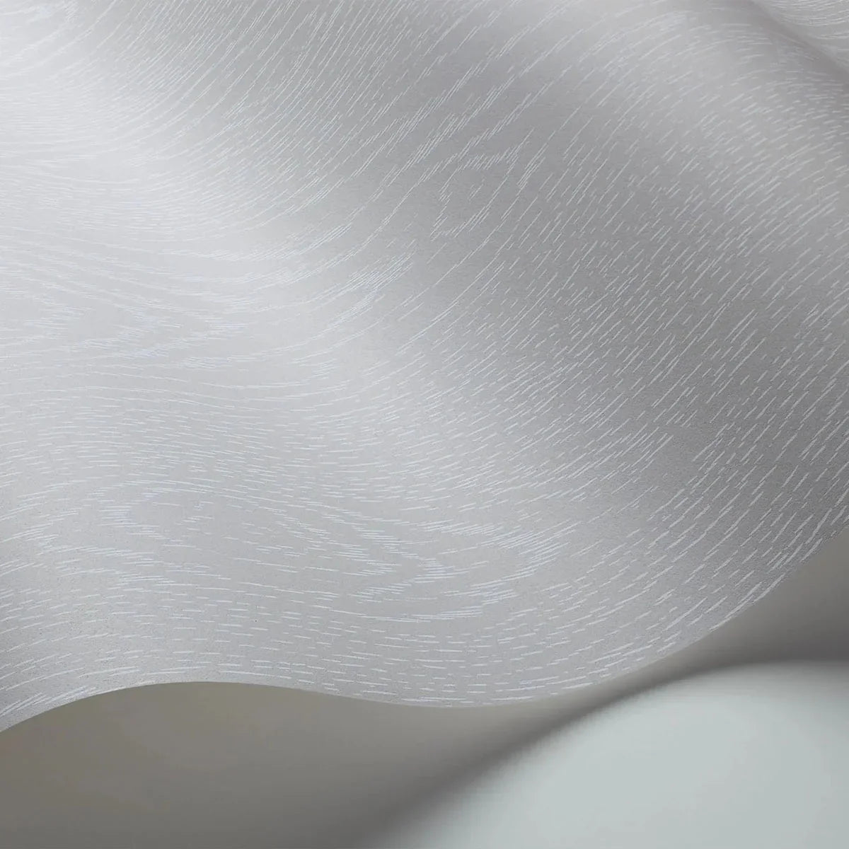 Wood Grain Curio Wallpaper - Cole & Son