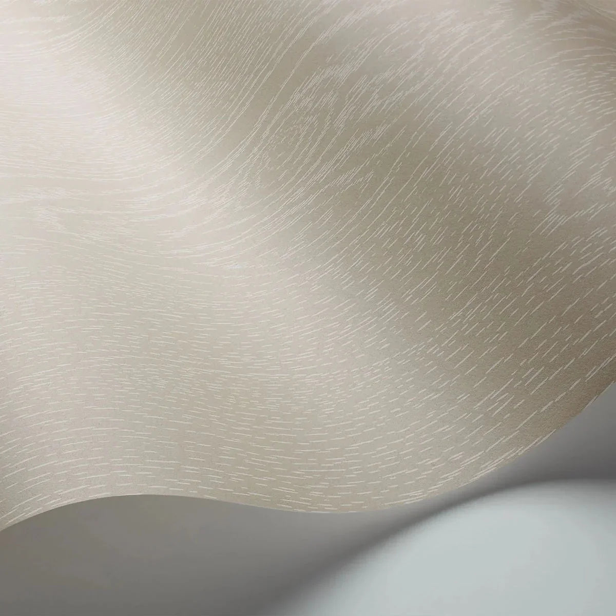 Wood Grain Curio Wallpaper - Cole & Son