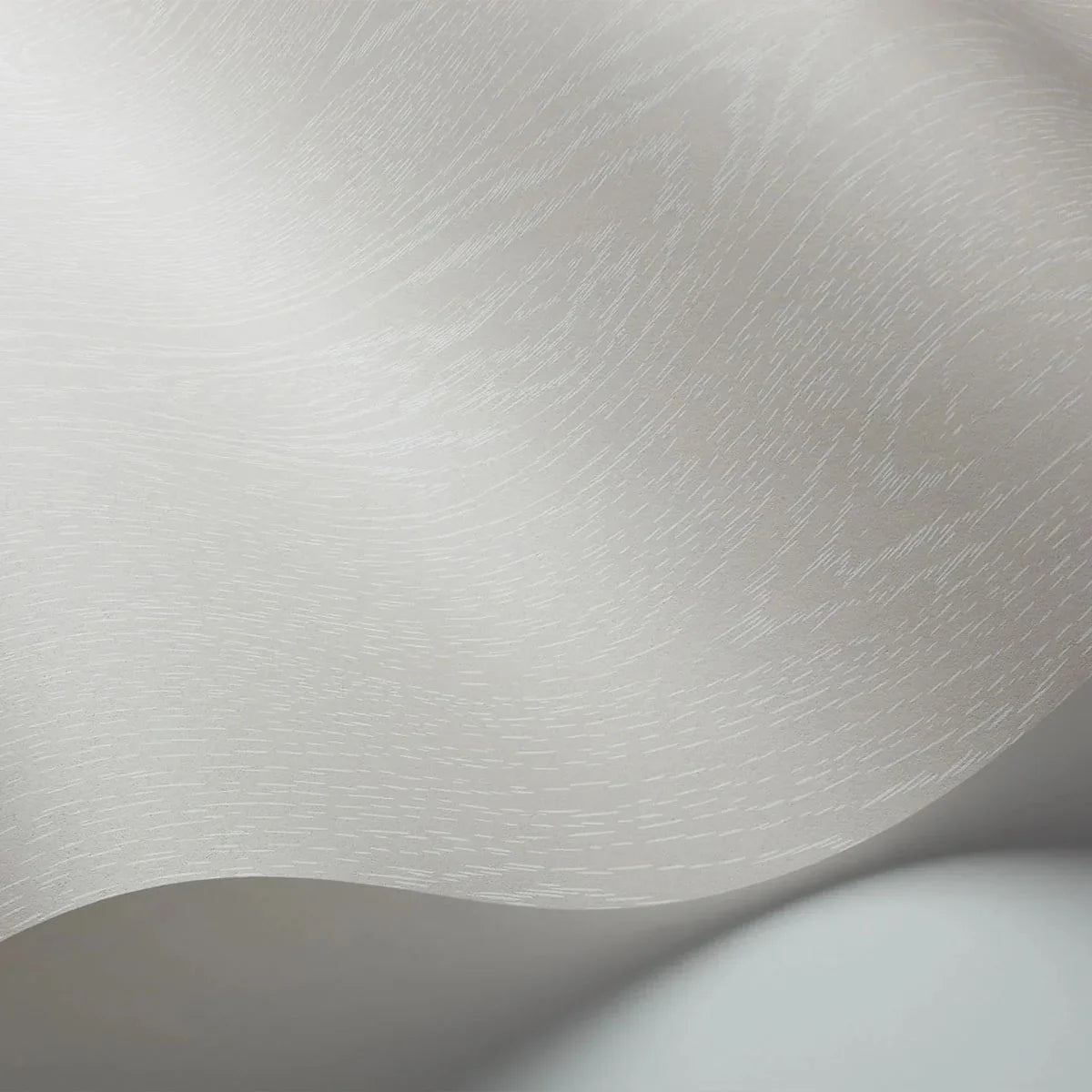 Wood Grain Curio Wallpaper - Cole & Son