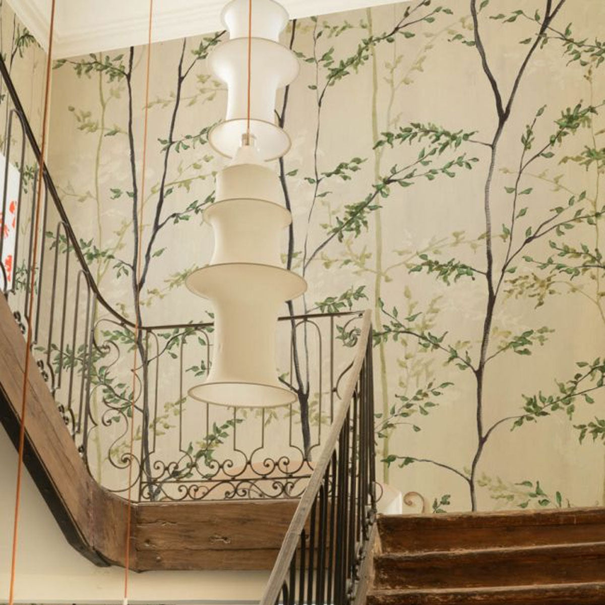 Woods Mural Wallpaper - Coordonne