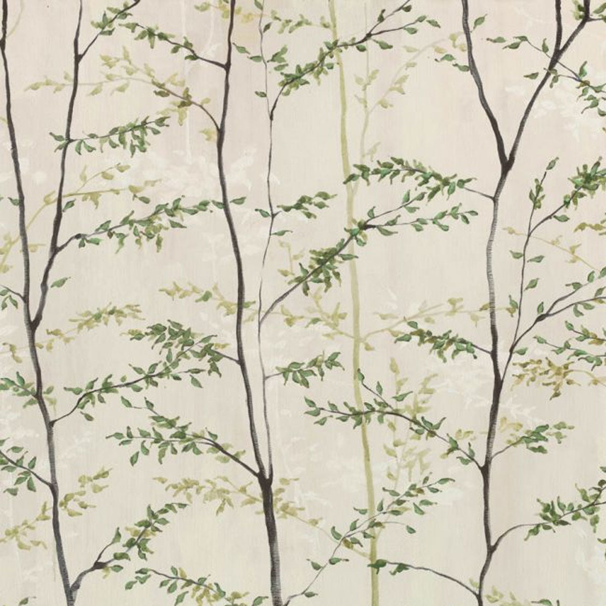 Woods Mural Wallpaper - Coordonne