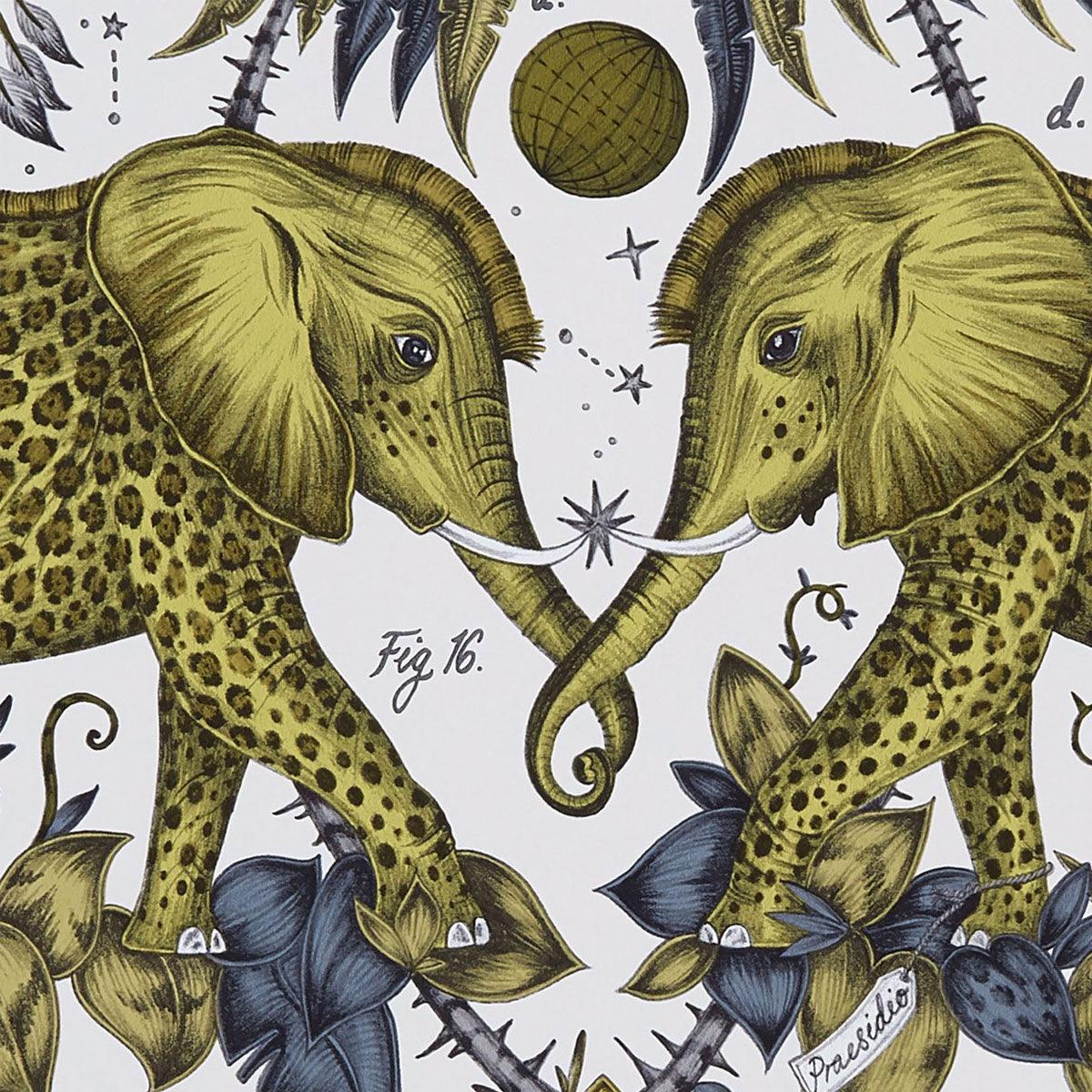 Clarke &amp; Clarke X Emma Shipley Zambezi Wallpaper