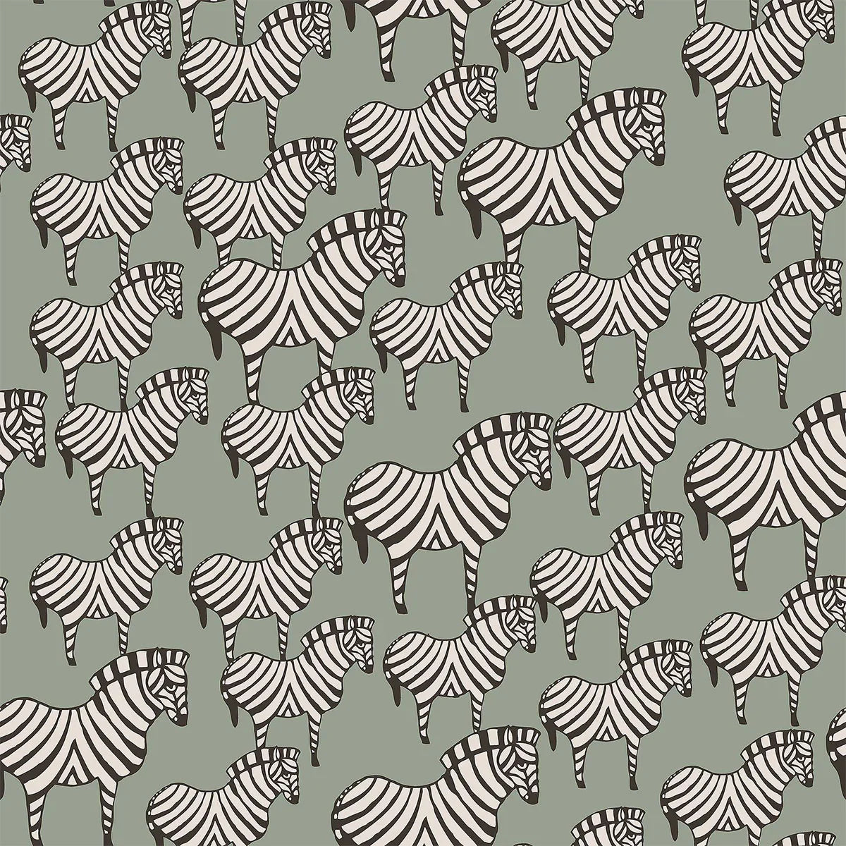 Zebra Wallpaper - Borastapeter