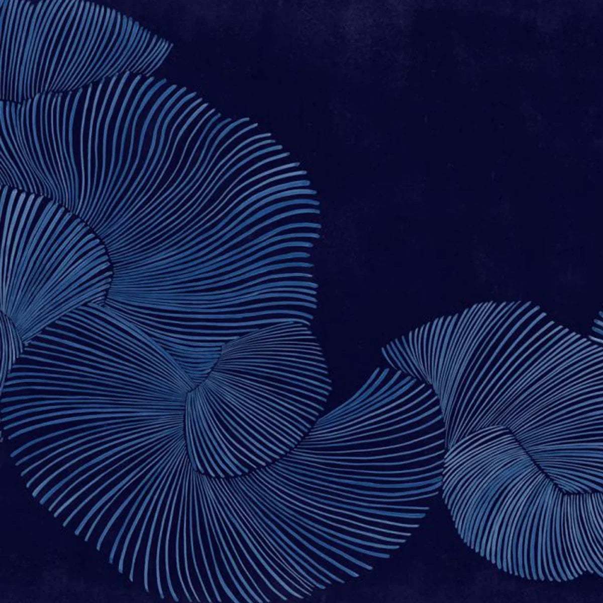 Diving Moment Mural Wallpaper - Coordonne